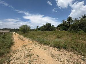 Best Kikambala Plot for Sale - thumbnail 2