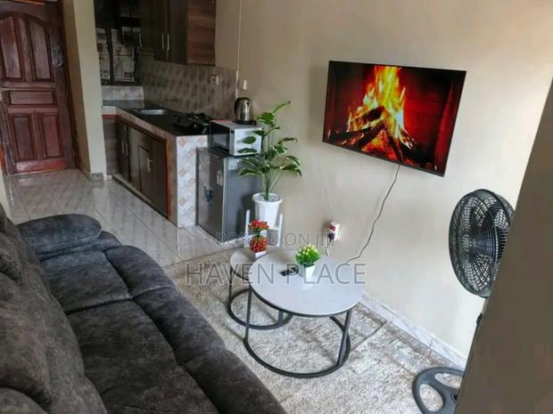 Executive Studio Apartment Available in Kisumu - thumbnail 4