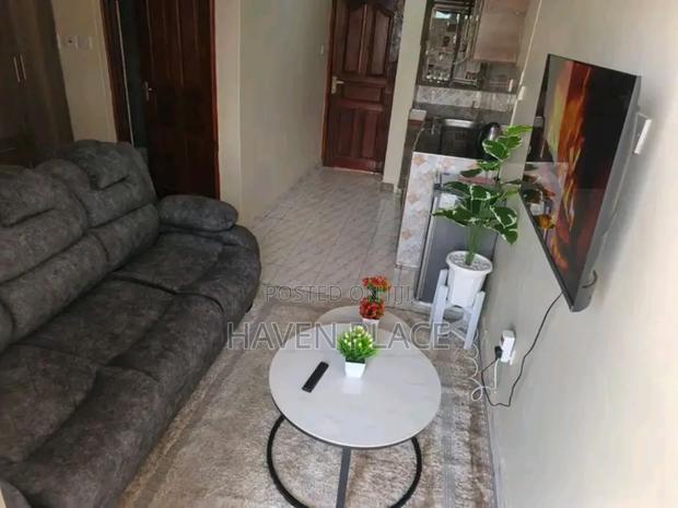 Executive Studio Apartment Available in Kisumu - thumbnail 6