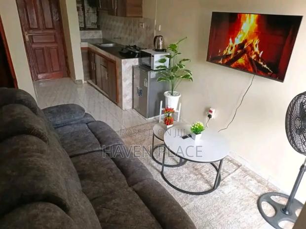 Executive Studio Apartment Available in Kisumu - thumbnail 10