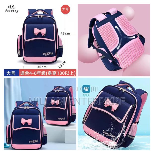 Beautiful Princess School Bags for Girls*