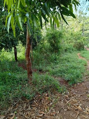 Land for Sale - thumbnail 2