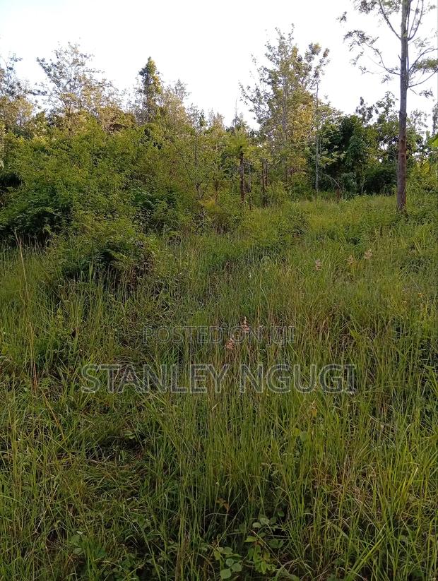 Land for Sale - thumbnail 3