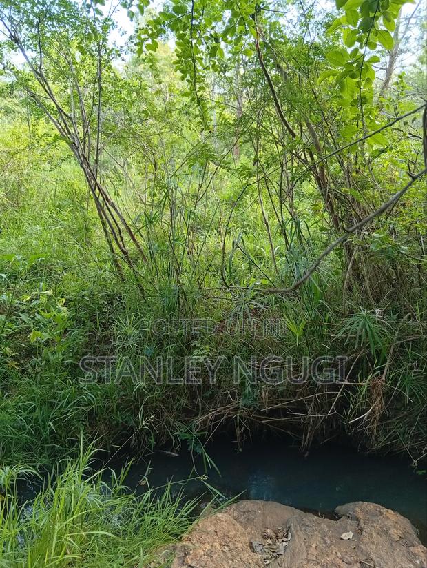 Land for Sale - thumbnail 4