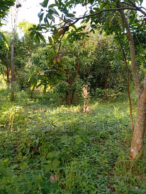 Land for Sale - thumbnail 5