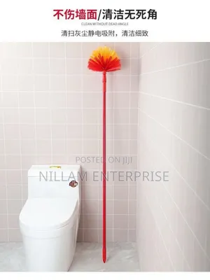 Extendable Cobweb Broom