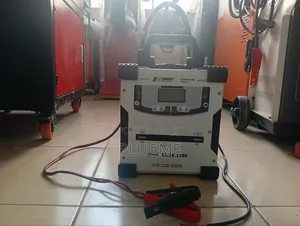 Heavy Duty High Quality 12v/24v Vehicle Battery Charger