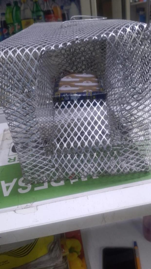 Rats Trap Box