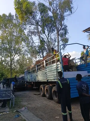 Transport Trailers Avaliable for Hauling.