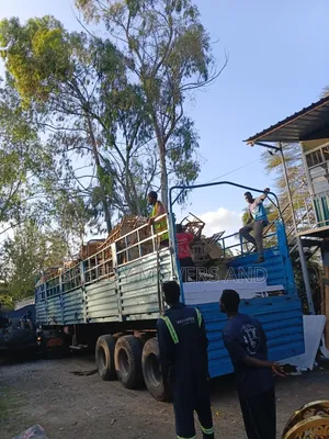 Transport Trailers Avaliable for Hauling.