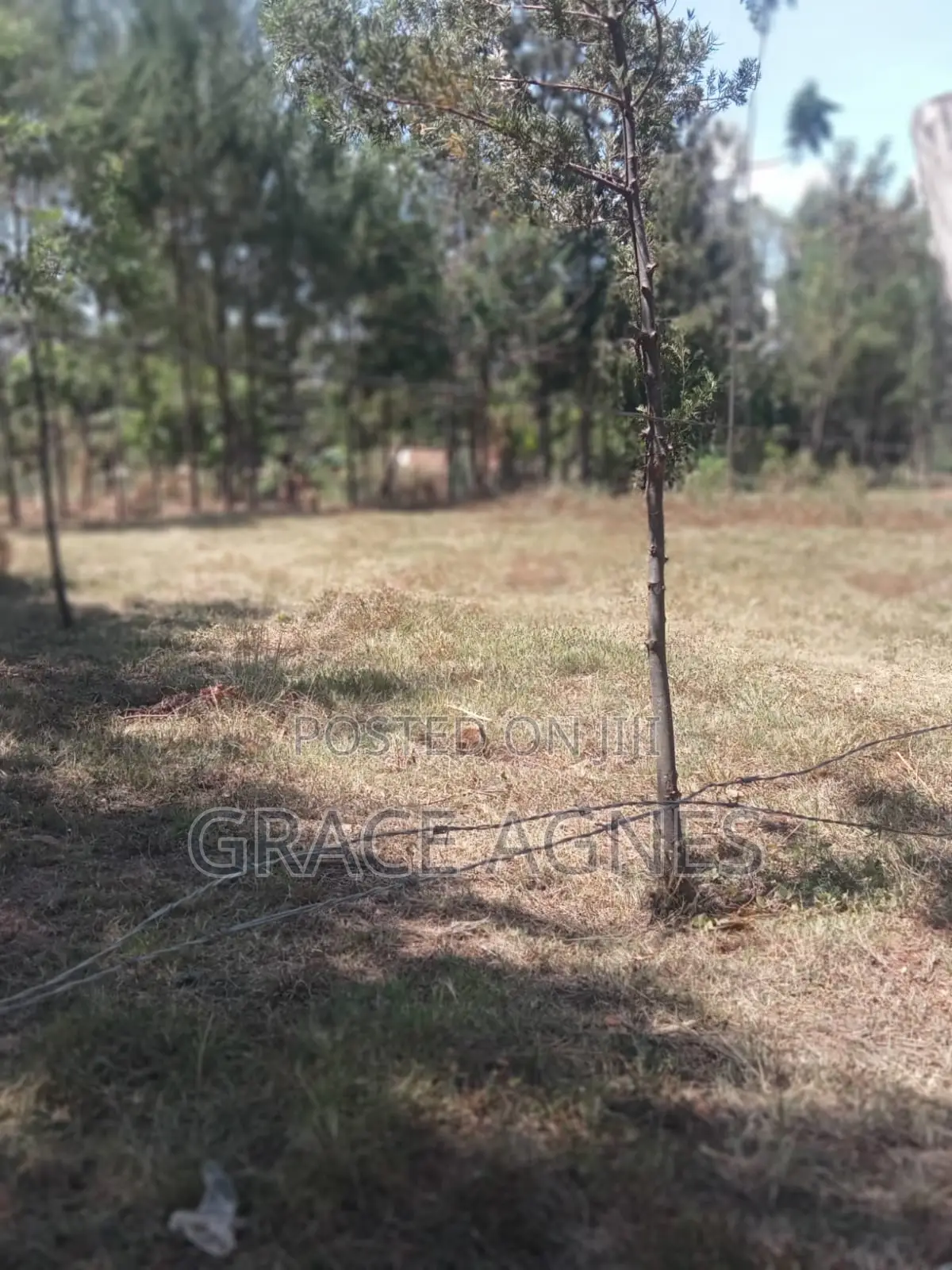 A 3/4prime Land Fronting Tarmack in Makuyu on Distress Sale Price 5m