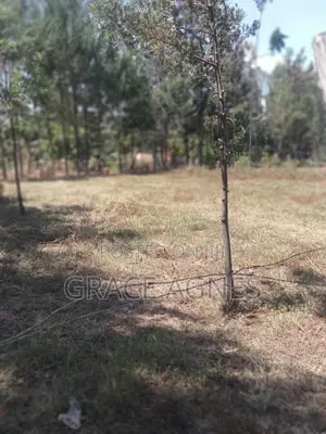 A 3/4prime Land Fronting Tarmack in Makuyu on Distress Sale Price 5m