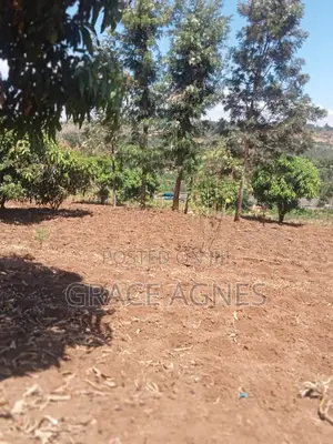 A 3/4prime Land Fronting Tarmack in Makuyu on Distress Sale Price 5m