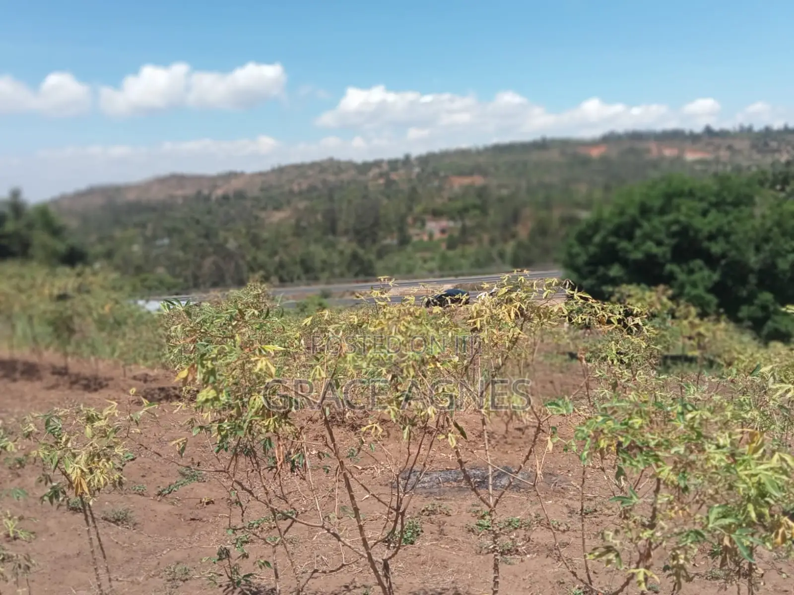 A 3/4prime Land Fronting Tarmack in Makuyu on Distress Sale Price 5m