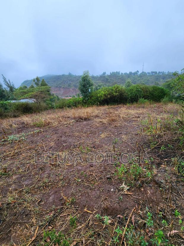 1⁄4 Acre Kikuyu-Karai - thumbnail 2