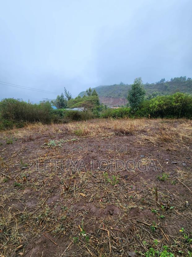 1⁄4 Acre Kikuyu-Karai - thumbnail 3