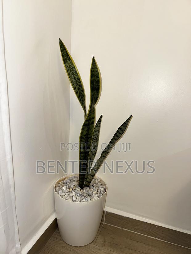 Furnished 1bdrm Airbnb in South Park, Mombasa Road, for Rent - thumbnail 7