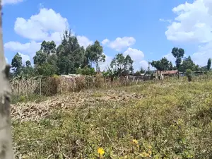 1⁄4 Acre Plot in Outspan Eldoret