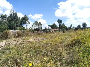 1⁄4 Acre Plot in Outspan Eldoret