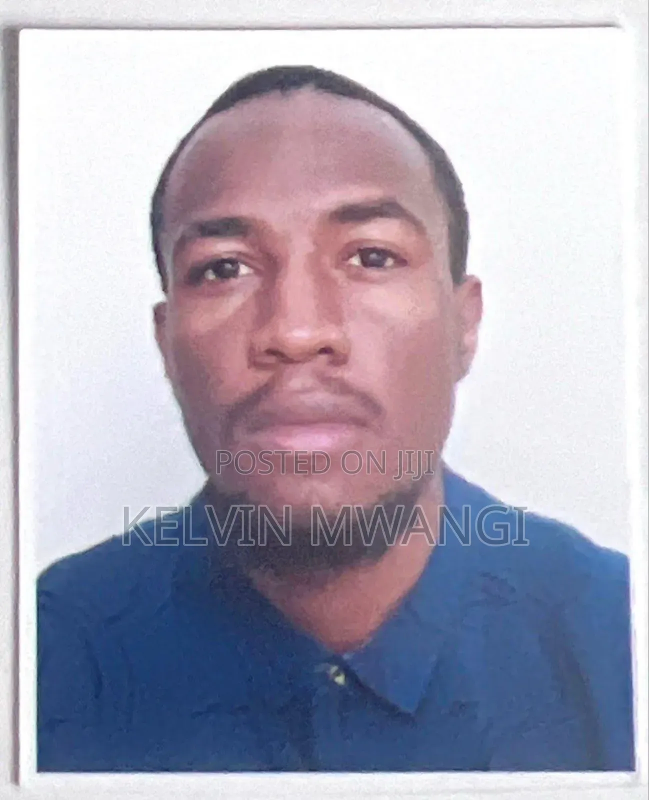 Kelvin Mwangi Cv