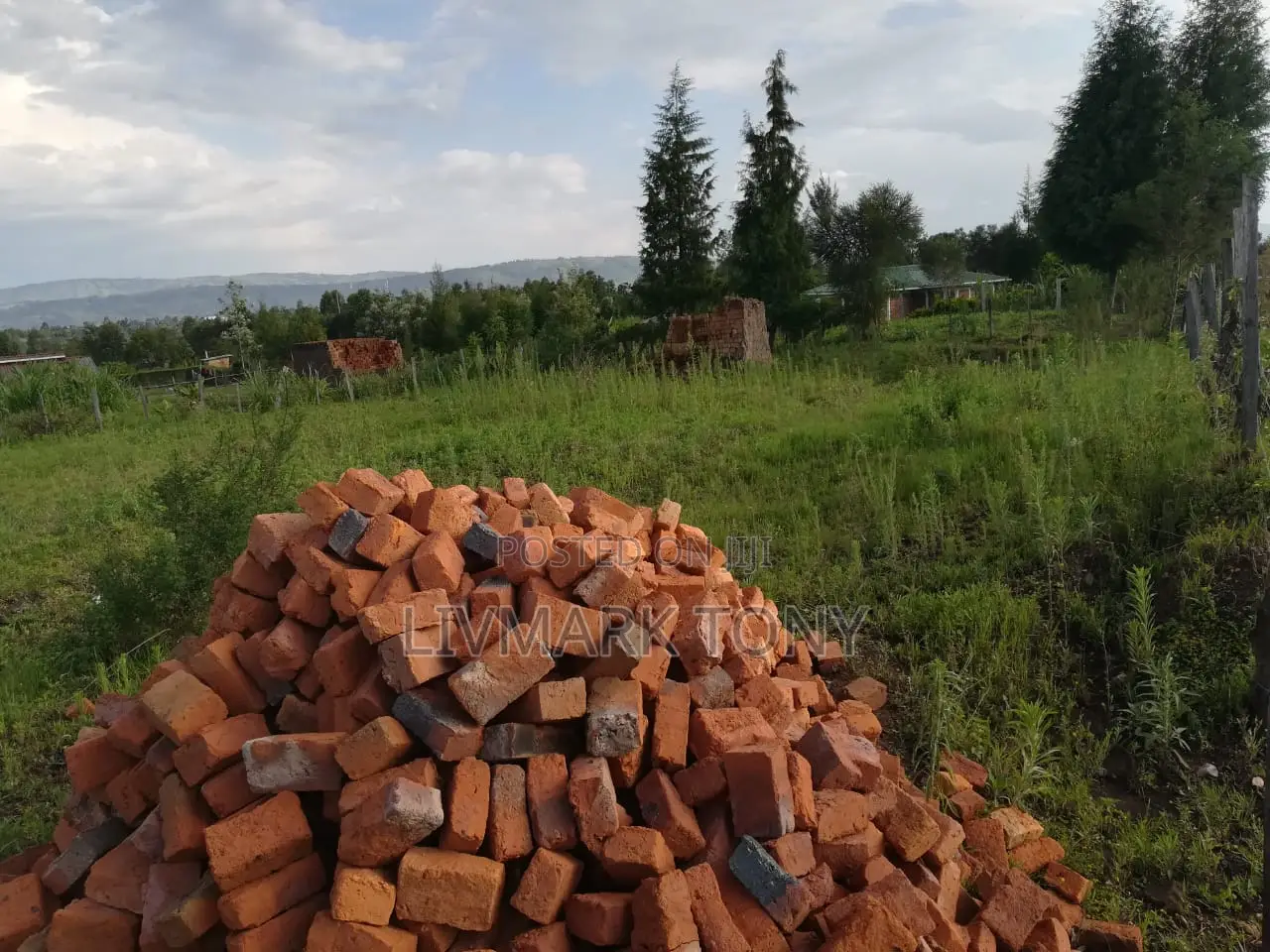 50x100 Land