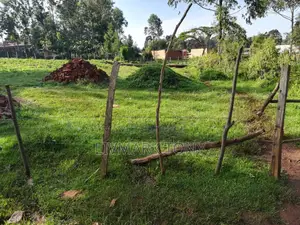 50x100 Land