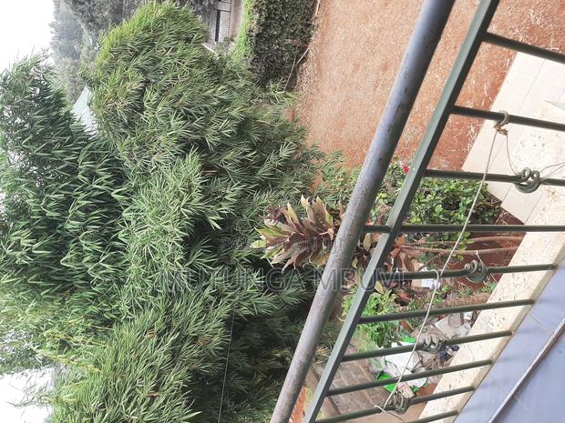 2bdrm Apartment in Mutuini for rent - thumbnail 11