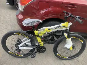 Dinos Mountain Bike