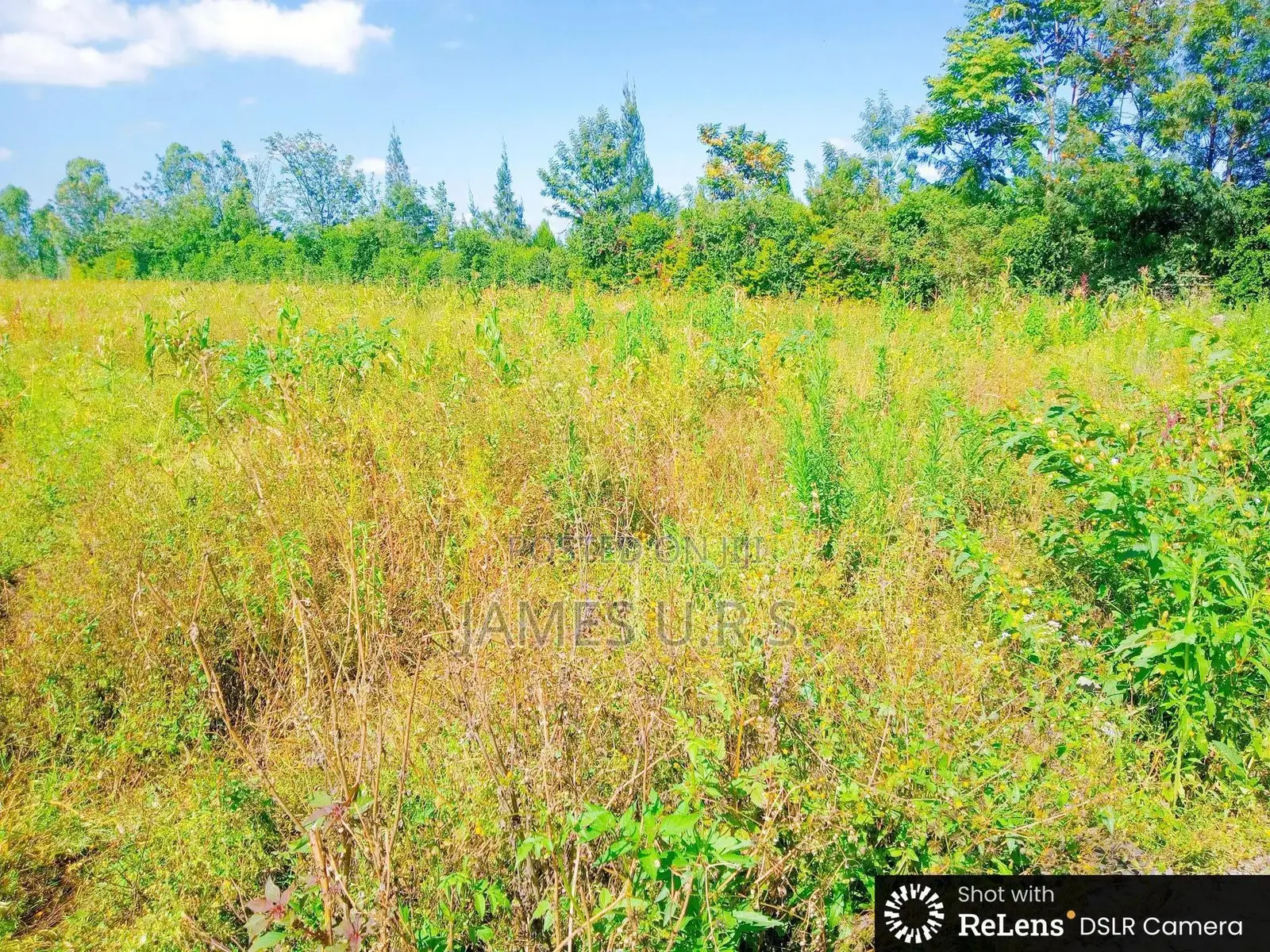 Two Acres Nakuru Lanet Munyeki.