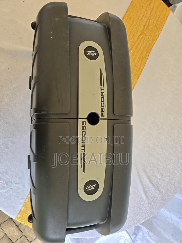 Peavey Escort 5000 - thumbnail 5