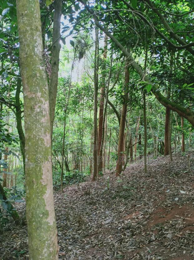 3 Acres Timber Agricultural Land for Sale in Ceceni Near Karatina - main view