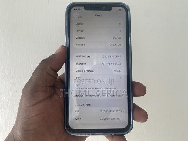 Apple iPhone 11 Pro Max 256 GB Blue