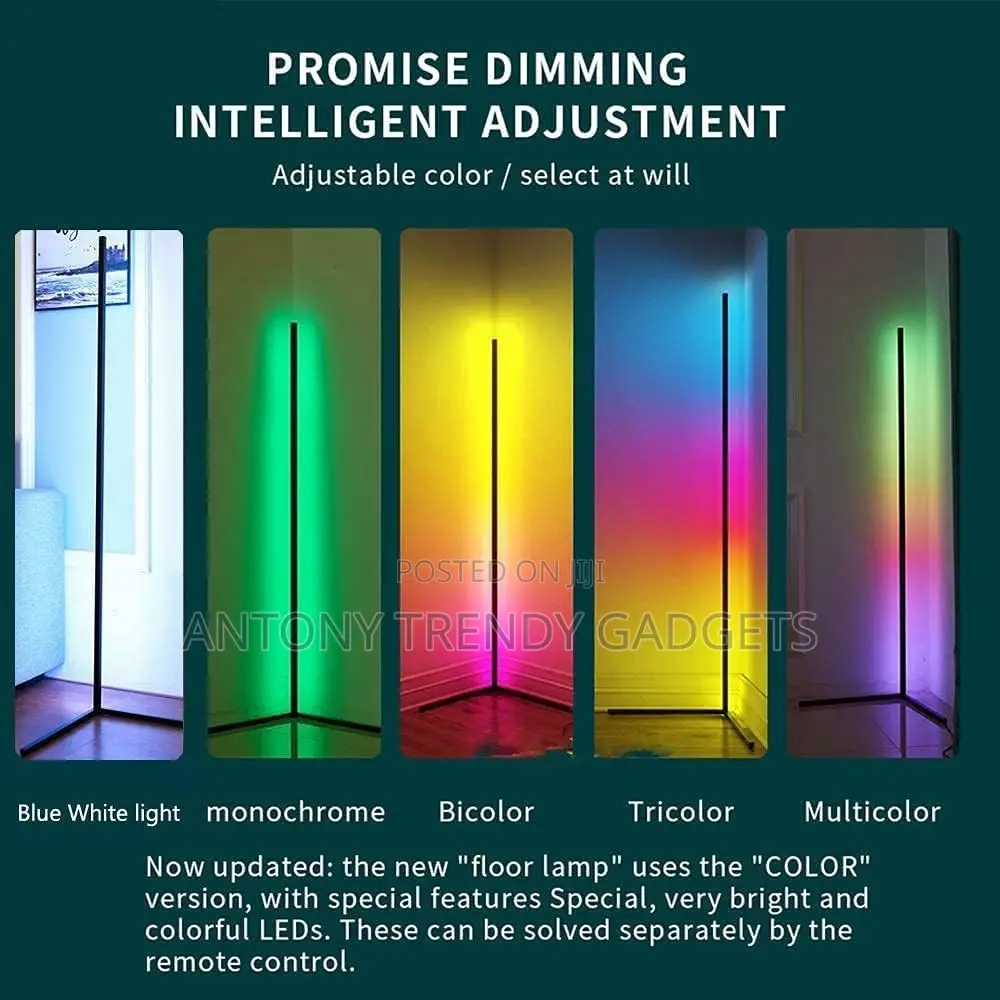 Modern Led Floor Lamp Music Sync Remote Control