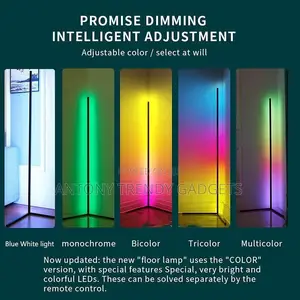 Modern Led Floor Lamp Music Sync Remote Control