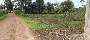 100 by 50 in Murram Road Ngoingwa