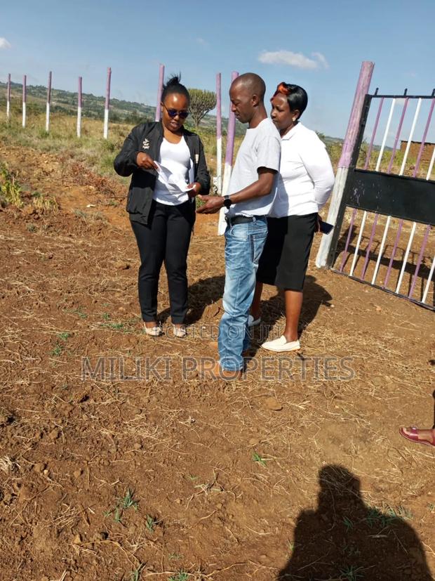 Introducing to You Ridge View Phase 6 Jogoo . - main view