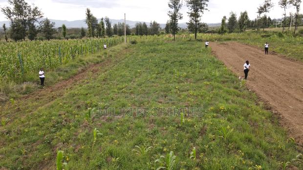 Introducing to You Ridge View Phase 6 Jogoo . - thumbnail 6