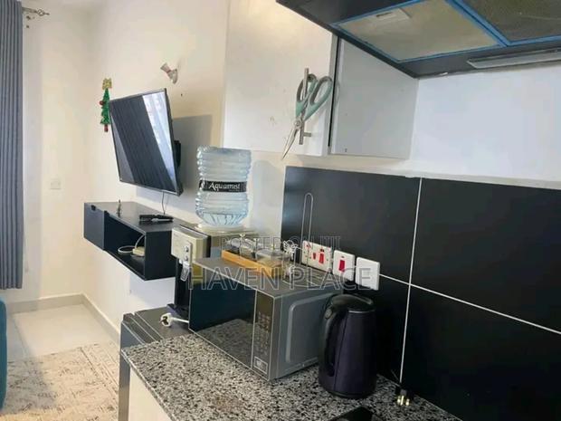 Studio Hidden Gem in Kilimani Lavington - thumbnail 6