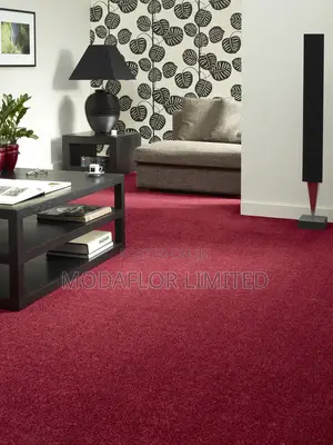 Delta Wall to Wall Carpet- Affordable Luxury Awaits!