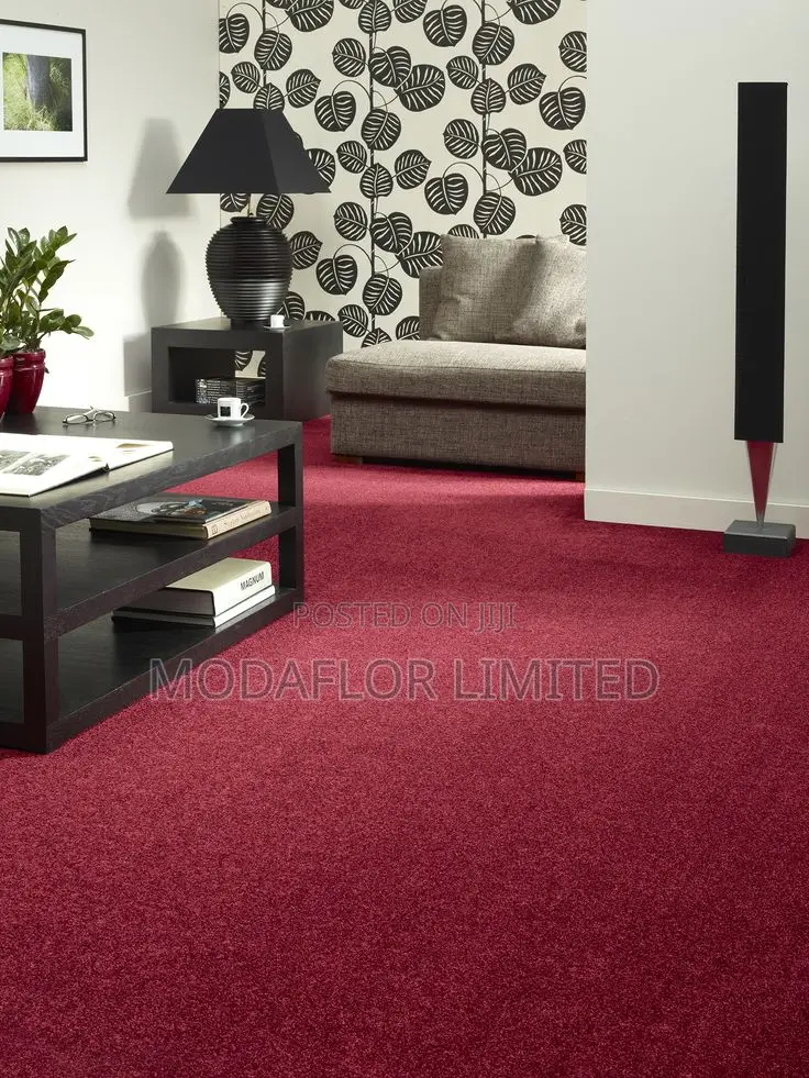 Delta Wall to Wall Carpet- Affordable Luxury Awaits!