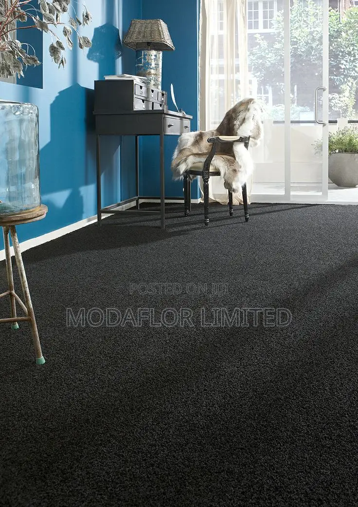 Easy to Clean and Maintain Delta Wall to Wall Carpet