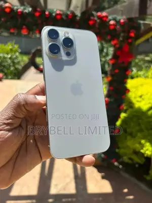 Apple iPhone 16 Pro Max 256 GB Gray