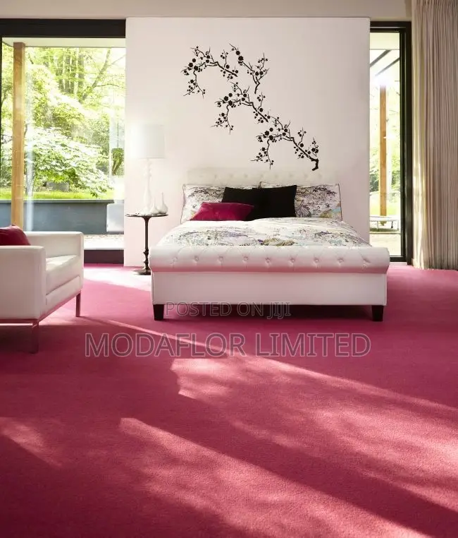 Pet-Friendly Delta Wall to Wall Carpet Solutions