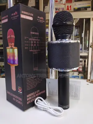 Handheld KTV Ws-858l Karaoke Mic With Hifi Speaker