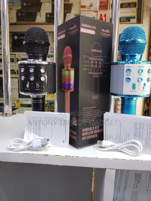 Handheld KTV Ws-858l Karaoke Mic With Hifi Speaker