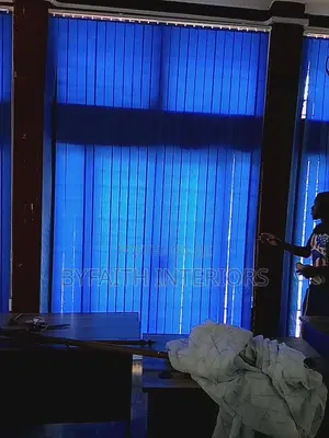 Elegant Finished Office Blinds