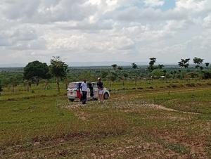 Real Estate - thumbnail 2