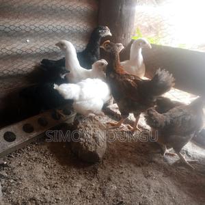 Kienyenji Chicken - main view