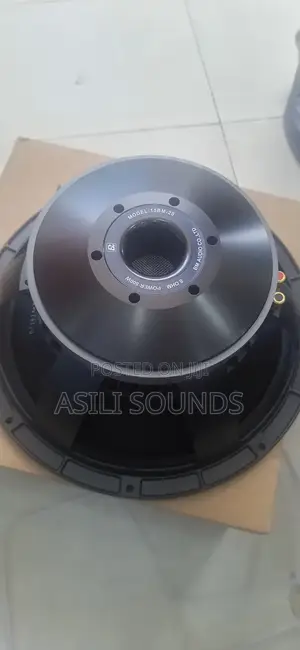 Bm 15 Inches Speaker