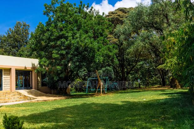2 Br Airbnb Nanyuki With a Pool - thumbnail 7